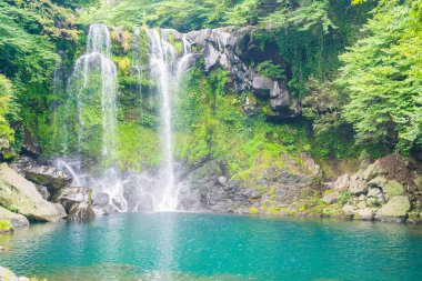 Jeju Isaland cheonjeyeon şelaleler