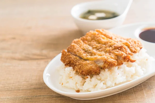 Porc frit sur riz garni (tonkatsu) avec soupe miso — Photo