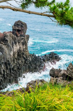 Jungmun Daepo sahil Jusangjeolli Cliff, Jeju Adası