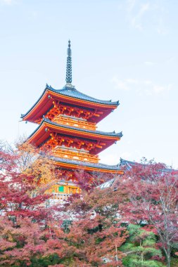 Kiyomizu-dera Tapınağı güzel mimari Kyoto,.