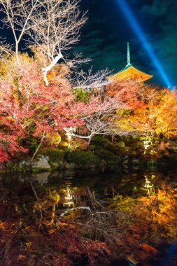 Kiyomizu-dera Tapınağı güzel mimari Kyoto.