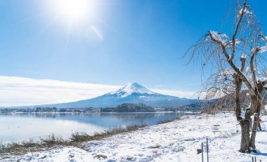 Dağ Fuji San Kawaguchiko Gölü.