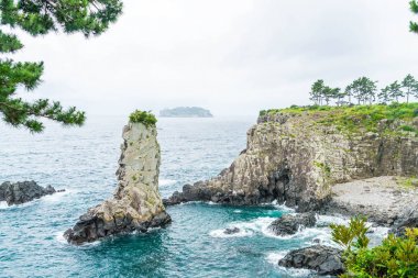 Jeju-do Oedolgae kaya (ünlü doğal landmark) Jeju Adası,