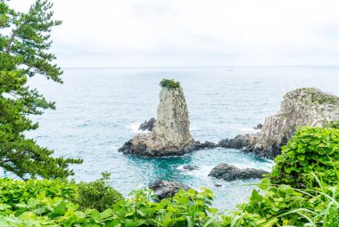 Jeju-do Oedolgae kaya (ünlü doğal landmark) Jeju Adası,