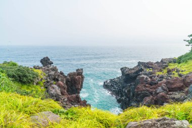Jungmun Daepo sahil Jusangjeolli Cliff, Jeju Adası
