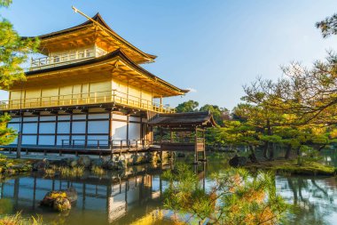 Kinkakuji Tapınağı (altın köşk güzel mimari)