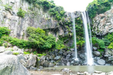 Jeongbang şelale jeju Adası