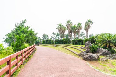 Park adlı Jungmun Daepo sahil Jusangjeolli Cliff, Jeju Adası