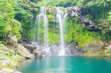 Jeju Isaland cheonjeyeon şelaleler