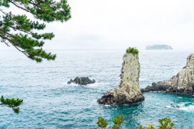 Jeju-do Oedolgae kaya (ünlü doğal landmark) Jeju Adası,
