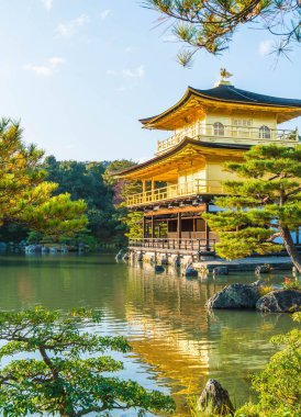 Kinkakuji Tapınağı (altın köşk güzel mimari)