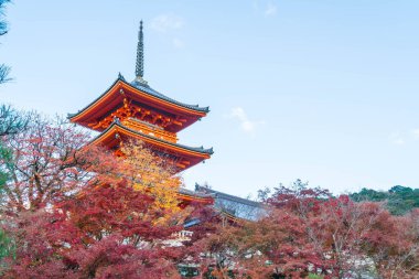 Kiyomizu-dera Tapınağı güzel mimari Kyoto,.