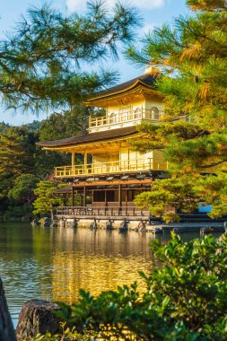 Kinkakuji Tapınağı (altın köşk güzel mimari)