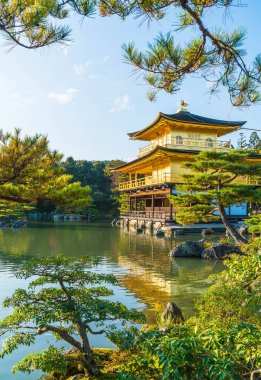 Kinkakuji Tapınağı (altın köşk güzel mimari)