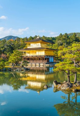 Kinkakuji Tapınağı (altın köşk güzel mimari)