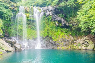 Jeju Isaland cheonjeyeon şelaleler