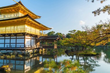 Kinkakuji Tapınağı (altın köşk güzel mimari)