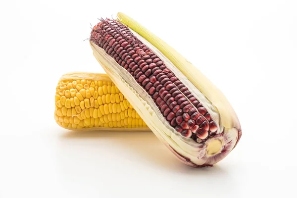 Maíz morado o maíz negro y maíz normal —  Fotos de Stock