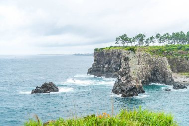 Jeju-do Oedolgae kaya (ünlü doğal landmark) Jeju Adası,