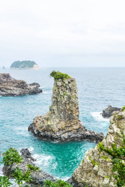 Jeju-do Oedolgae kaya (ünlü doğal landmark) Jeju Adası,