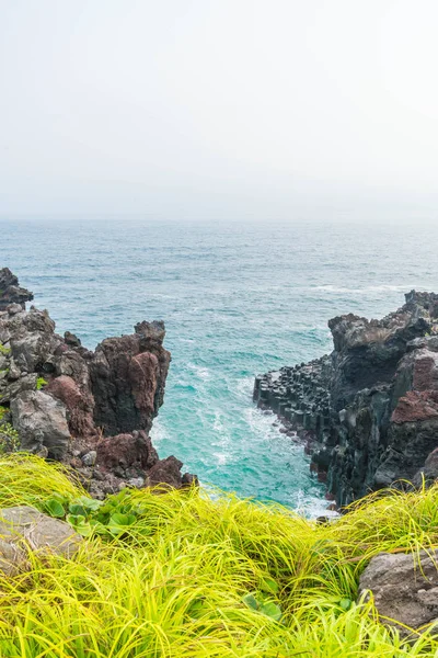 Acantilado Jusangjeolli de la costa de Jungmun Daepo, isla de Jeju — Foto de Stock