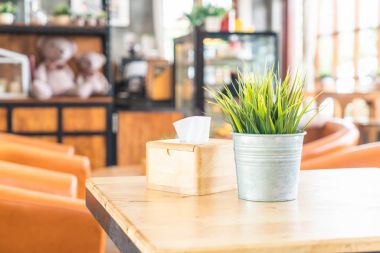 saksı dekorasyonunda bitki 