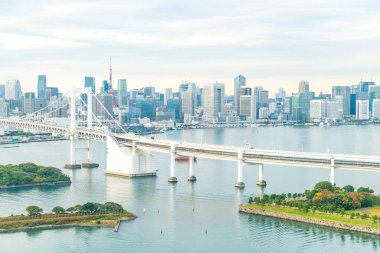 Tokyo siluetinin Tokyo kule ve Gökkuşağı Köprüsü ile. 