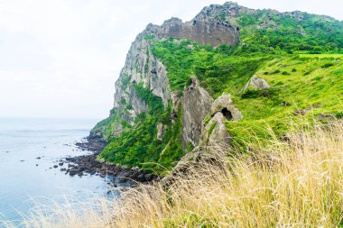 Jeju Adası'Seongsan Ilchulbong (volkanik koni) görünümünü.