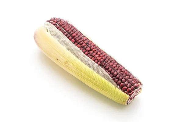 Świeża kukurydza czarny — Zdjęcie stockowe