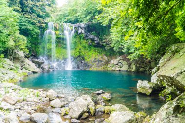 Jeju Isaland cheonjeyeon şelaleler