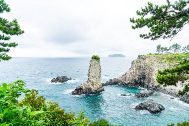 Jeju-do Oedolgae kaya (ünlü doğal landmark) Jeju Adası,