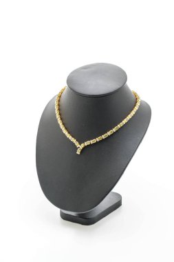 güzel ve lüks kolye takı ile boyun standı 