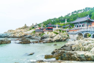 Güzel mimari Haedong Yonggungsa Tapınağı'nda oturur üzerine bir 