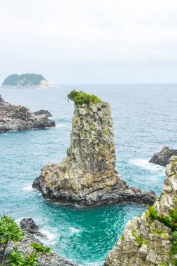 Jeju-do Oedolgae kaya (ünlü doğal landmark) Jeju Adası,