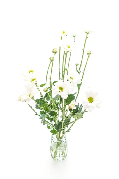 Fehér anya virágok — Stock Fotó