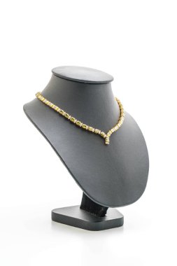 güzel ve lüks kolye takı ile boyun standı 