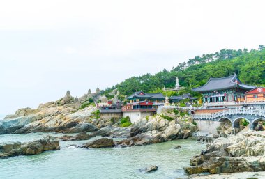 Güzel mimari Haedong Yonggungsa Tapınağı'nda oturur üzerine bir 