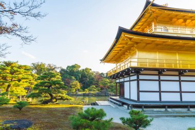 Kinkakuji Tapınağı (altın köşk güzel mimari)