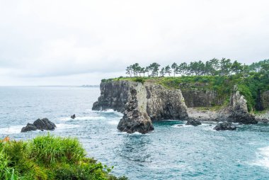 Jeju-do Oedolgae kaya (ünlü doğal landmark) Jeju Adası,