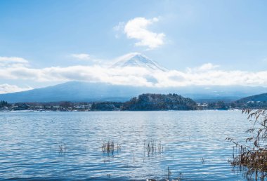 Dağ Fuji San Kawaguchiko Gölü.