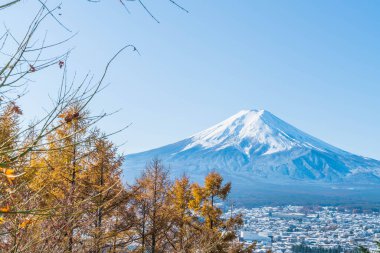 Kawaguchiko, dağ Fuji San