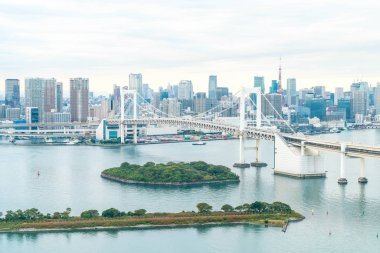 Tokyo siluetinin Tokyo kule ve Gökkuşağı Köprüsü ile. 