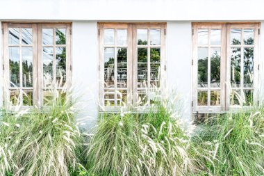 çimen çiçek desenle pencere