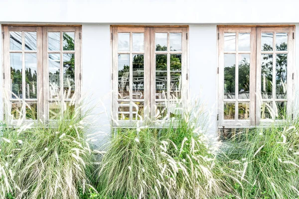 çimen çiçek desenle pencere