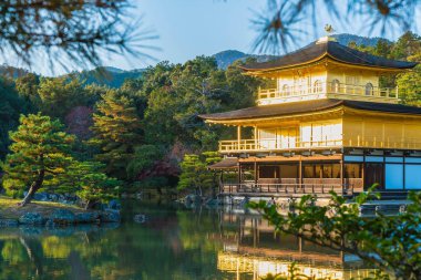 Kinkakuji Tapınağı (altın köşk güzel mimari)