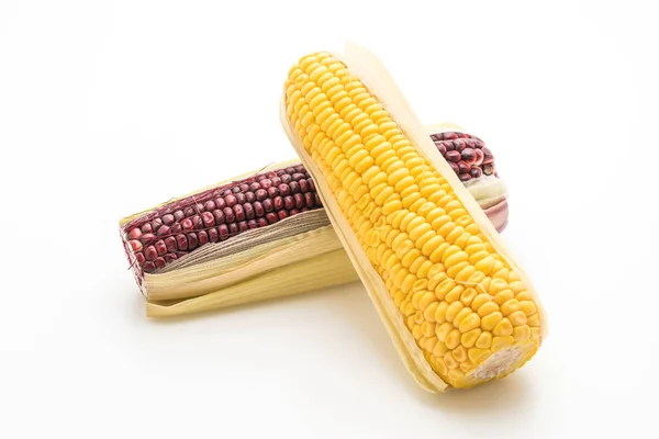 Purple corn or black corn and normal corn — Stock Photo, Image