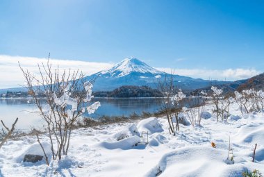 Dağ Fuji San Kawaguchiko Gölü.