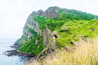 Songaksan dağın Jeju Adası.