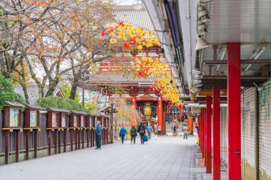 Toyko, Japonya - 16 Kasım 2016: turist Nakamise Dori üzerinde yürümek 