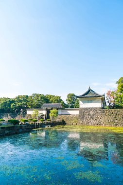 Tokyo'da bina güzel İmparatorluk Sarayı